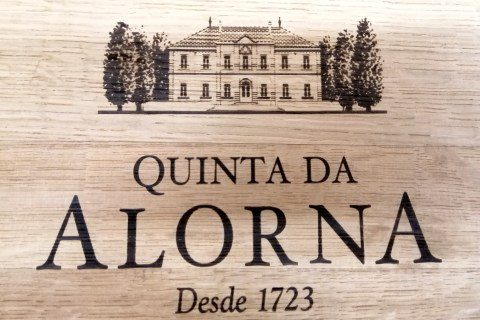 High-quality CO2 laser engraving on wooden surfaces.