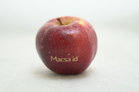 Organic laser marking of logos on fruit and vegetable surfaces using CO2 laser technology.